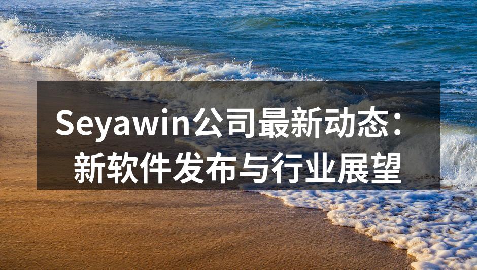 Seyawin团队在新软件发布会上合影