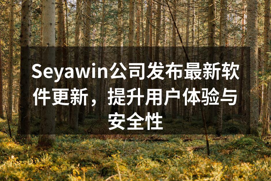 Seyawin软件界面更新预览