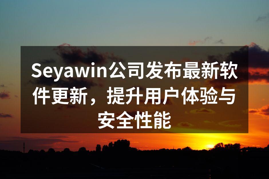 Seyawin软件更新界面示例